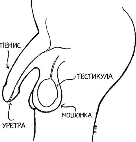 Коррупция российских детей подлинная, и в ней активно участвует Академия наук.