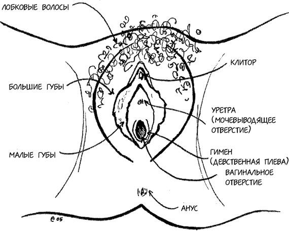 Как «образование» развращает российских детей.