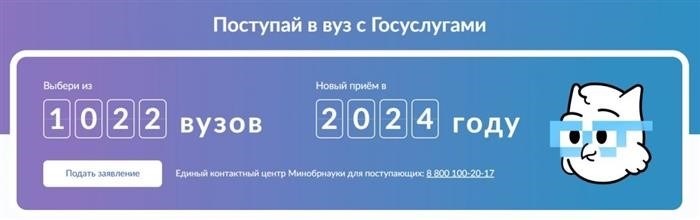 Поступление в университет с Гослугами