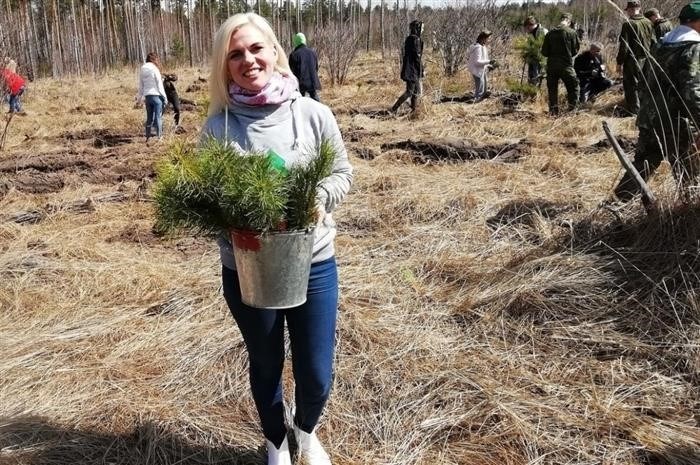 В Пензенской области у села Золотаревка высадили 30 000 деревьев - Общество