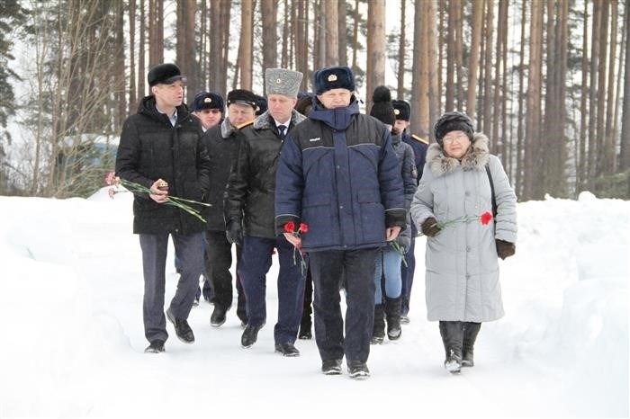 Метеонова Хвойная Новгородская область