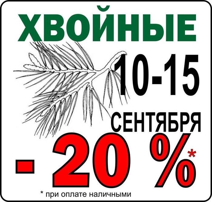 Скидки на хвойные деревь я-Новост и-Садк о-План. ру