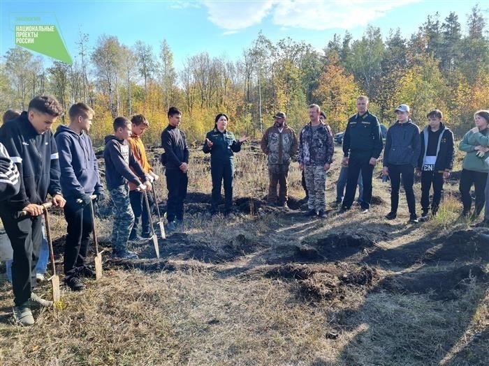 Более 2600 будущих сосен высажено в лесах Ульпресского района - Все новости Ульяновы