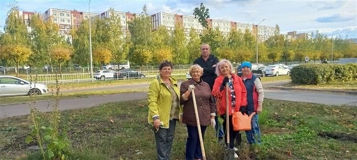 Одиннадцать сосен высадили во дворе 39-го микрорайона Черни.